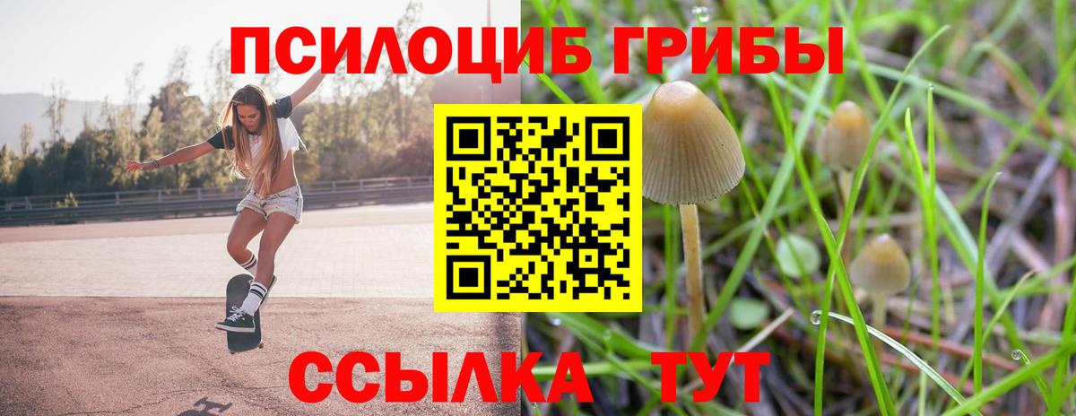 Галлюциногенные грибы прущие грибы Видное