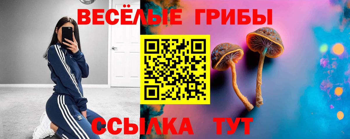 Видное  Псилоцибиновые грибы MAGIC MUSHROOMS  Вход с VPN 